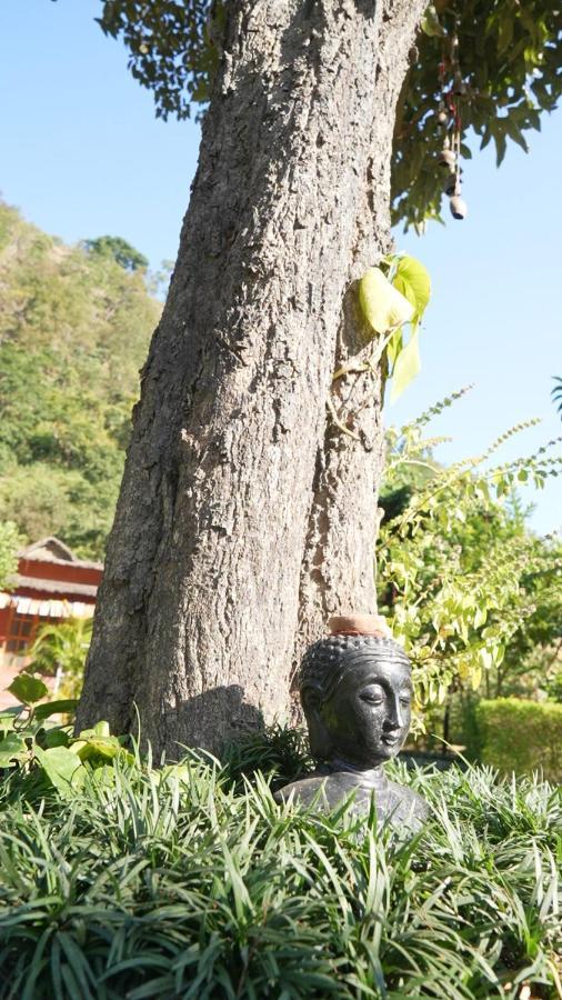 Maatre Yoga Retreat Villa Marchula ภายนอก รูปภาพ
